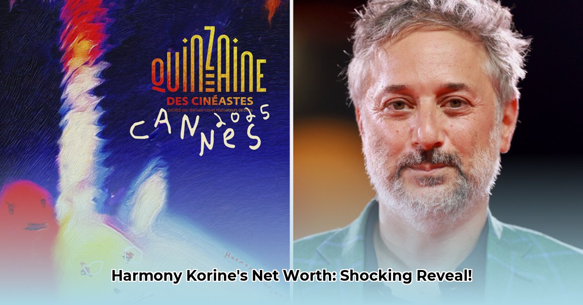 harmony-korine-net-worth